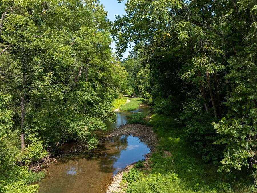 A narrow creek running through dense green woods.