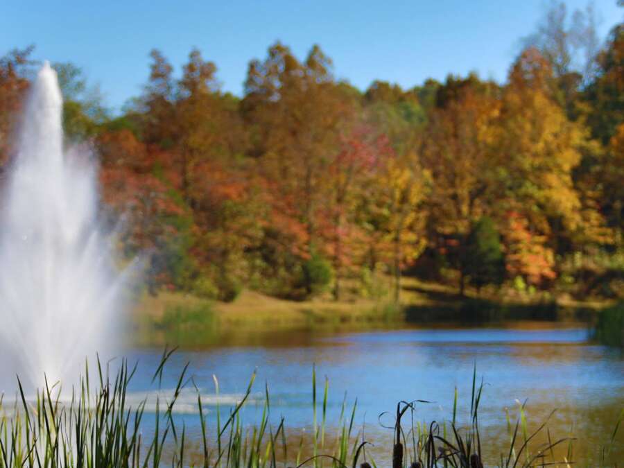 The lake in autumn colour, with a fountain and cattails along the near bank.